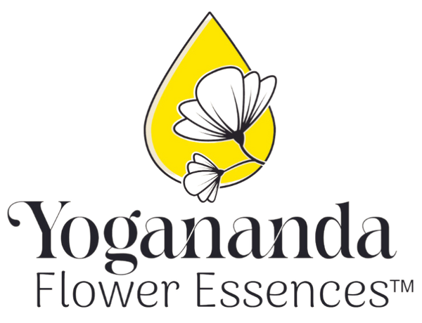 Yogananda Flower Essences