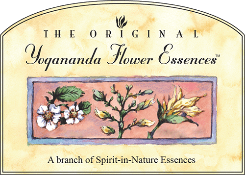 Yogananda Flower Essences
